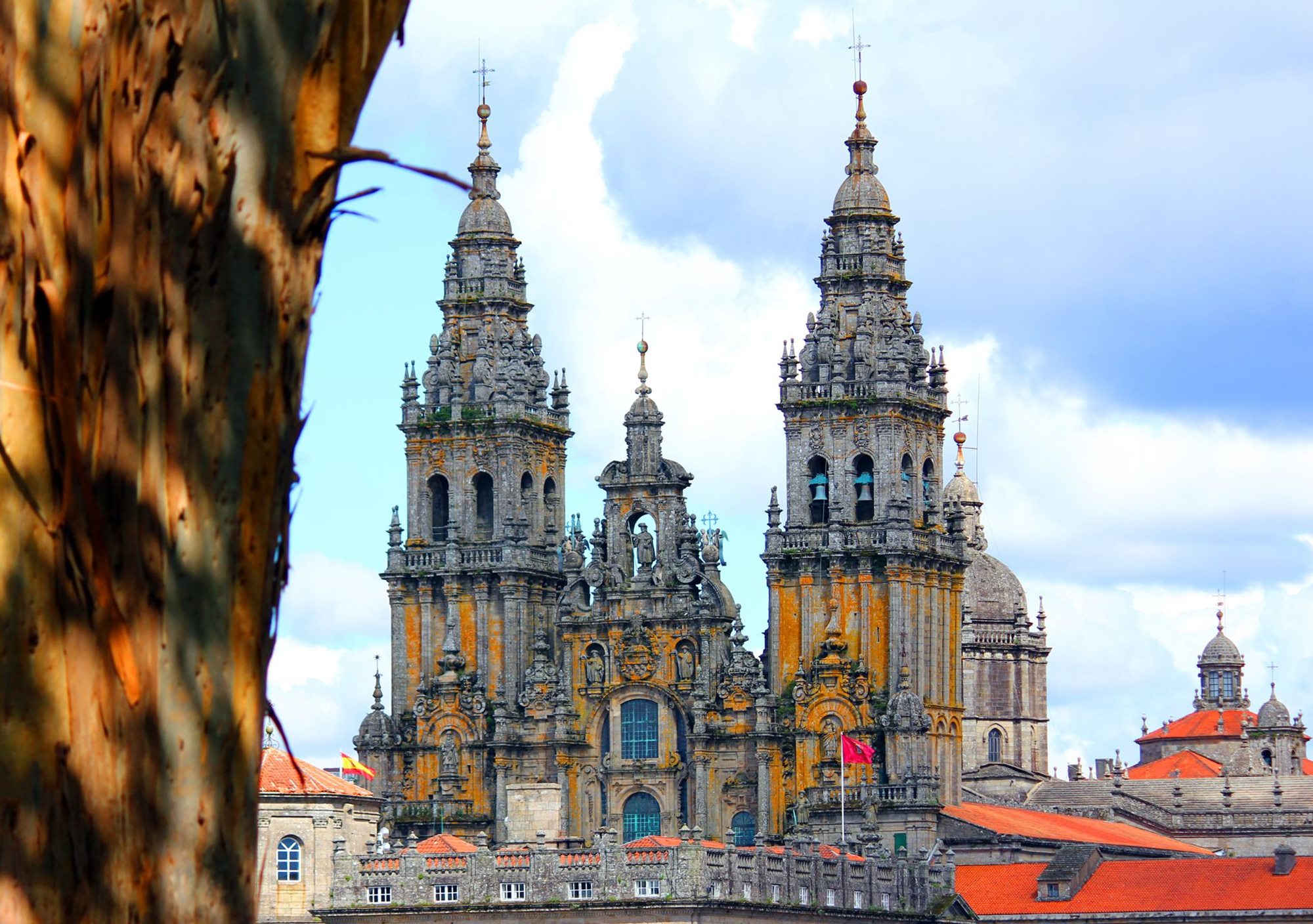 visitar tours visitas guiadas a catedral de Santiago de Compostela